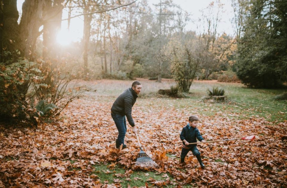Father and son raking leaves