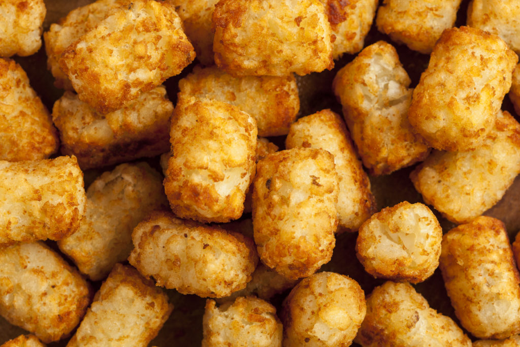 Organic Fried Tater Tots made from fried potato
