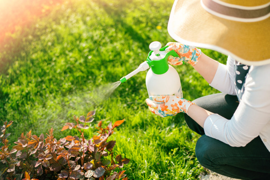 Woman spraying plants with bug spray using water bottle
